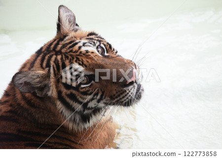 和平時不同，有時你也會露出如此善良的面容 122773858