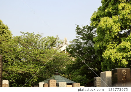 權勝寺在新綠的映襯下，以「水停舞」而聞名。 122773975
