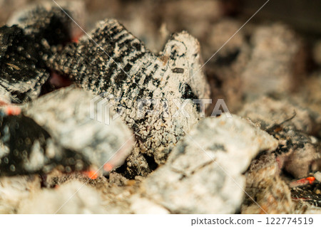 餘燼篝火 122774519