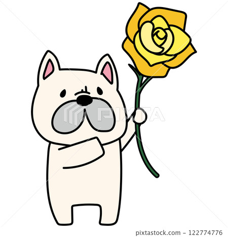 French bulldog holding a big yellow rose 122774776