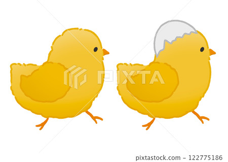 兩隻會走路的小雞 122775186