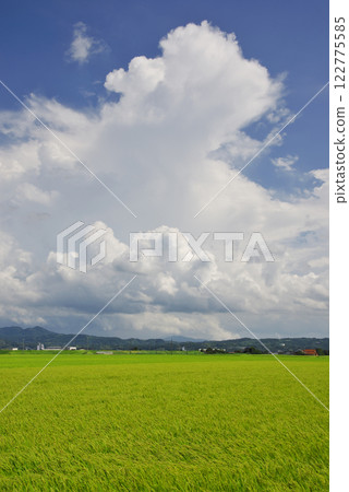 彩色田野和夏日雲彩（出雲市） 122775585