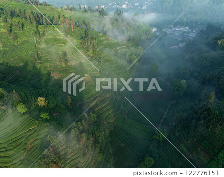 Aerial view of tea farm landscape in China Aerial view of tea farm landscape in China 122776151