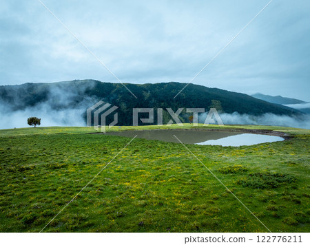 Aerial view of beautiful high altitude forest mountain landscape 122776211