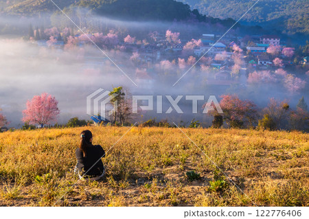 The beauty of the Wild Himalayan cherry blossoms and the morning mist at Ban Rong Kla village during the winter season, around mid to late January, Phu Hin Rong Kla, Phitsanulok The beauty of the Wild Himalayan cherry blossoms and the morning mist at Ban Rong Kla village during the winter season, around mid to late January, Phu Hin Rong Kla, Phitsanulok 122776406