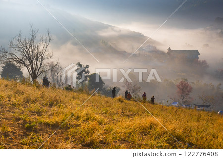 The beauty of the Wild Himalayan cherry blossoms and the morning mist at Ban Rong Kla village during the winter season, around mid to late January, Phu Hin Rong Kla, Phitsanulok 122776408