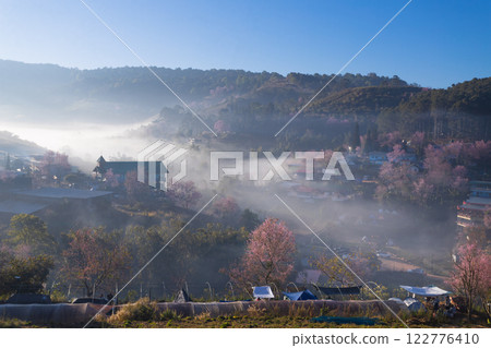 The beauty of the Wild Himalayan cherry blossoms and the morning mist at Ban Rong Kla village during the winter season, around mid to late January, Phu Hin Rong Kla, Phitsanulok The beauty of the Wild Himalayan cherry blossoms and the morning mist at Ban Rong Kla village during the winter season, around mid to late January, Phu Hin Rong Kla, Phitsanulok 122776410