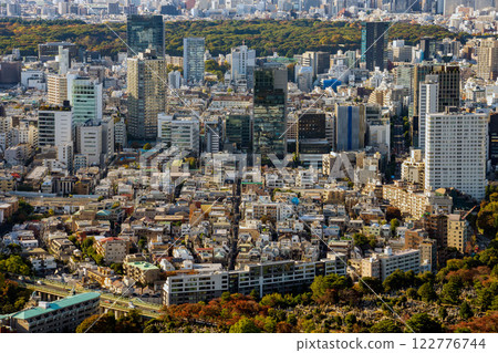 Scenery in central Tokyo during the day 122776744