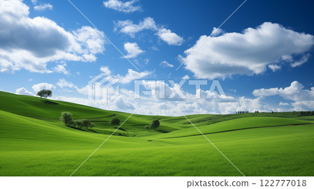 green field and blue sky. field and clouds 122777018