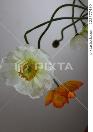 罌粟・。 ＋：＊❁ Poppy❁＊＋。 :*.◦・ 122777480