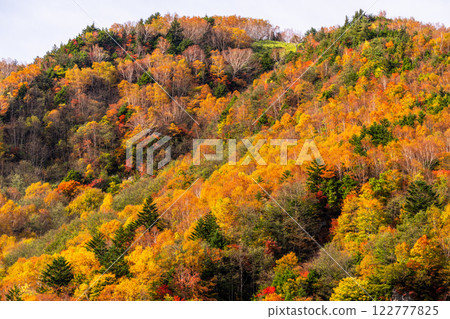 <Nagano Prefecture> Autumn leaves at Yonago Falls - peak of autumn colors 122777825