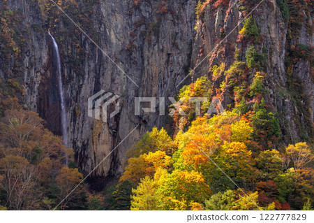 <Nagano Prefecture> Autumn leaves at Yonago Falls - peak of autumn colors <Nagano Prefecture> Autumn leaves at Yonago Falls - peak of autumn colors 122777829