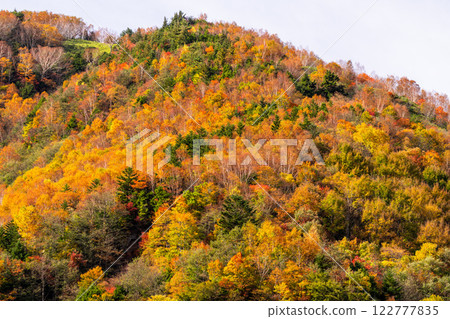 <Nagano Prefecture> Autumn leaves at Yonago Falls - peak of autumn colors 122777835