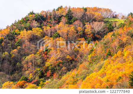 <Nagano Prefecture> Autumn leaves at Yonago Falls - peak of autumn colors <Nagano Prefecture> Autumn leaves at Yonago Falls - peak of autumn colors 122777840