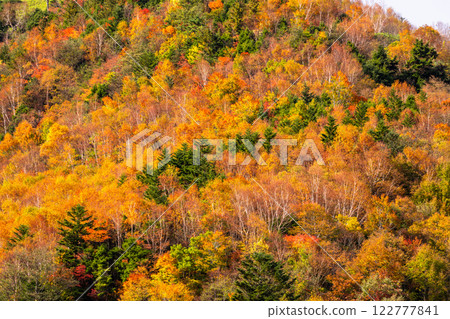 <長野縣>米子瀑布的紅葉～最美的秋色 122777841