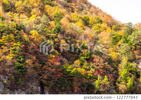 <Nagano Prefecture> Autumn leaves at Yonago Falls - peak of autumn colors 122777843