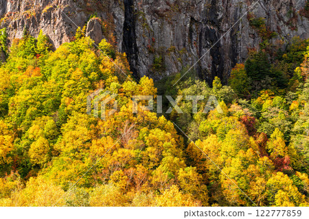 <Nagano Prefecture> Autumn leaves at Yonago Falls - peak of autumn colors <Nagano Prefecture> Autumn leaves at Yonago Falls - peak of autumn colors 122777859