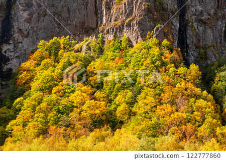 <Nagano Prefecture> Autumn leaves at Yonago Falls - peak of autumn colors <Nagano Prefecture> Autumn leaves at Yonago Falls - peak of autumn colors 122777860