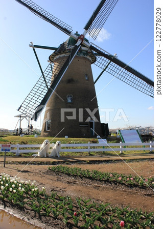 Windmills ... ... Windmill ... ... ... 122778029