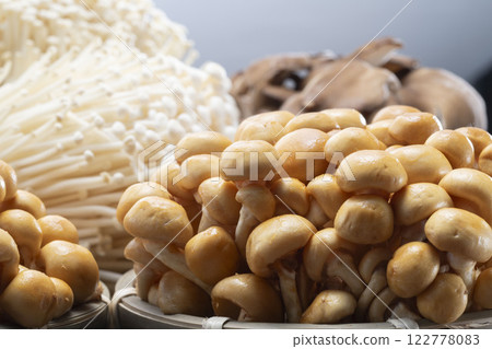 mushroom mushroom 122778083