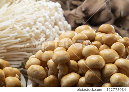 mushroom mushroom 122778084