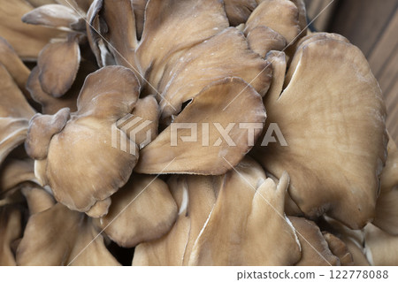 mushroom mushroom 122778088