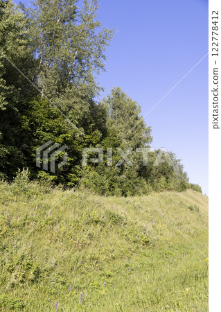 the edge of the mixed forest with deciduous trees and green grass 122778412