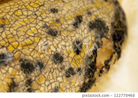 spoiled melon with black spots from mold and mildew spoiled melon with black spots from mold and mildew 122778468