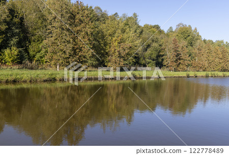 a lake with trees and various shrubs growing on the shore 122778489