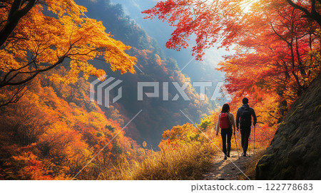 walk in autumn leaves 122778683