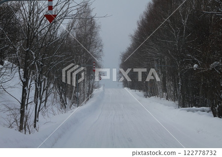 Forest road in midwinter Forest road in midwinter 122778732