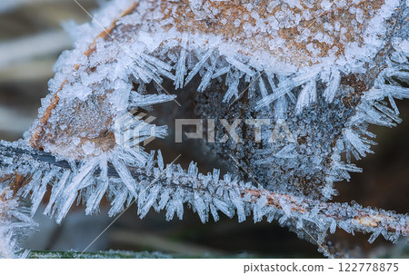Frost Ice Crystals Formed on Winter Leaves in Nature. Abstract nature Frost Ice Crystals Formed on Winter Leaves in Nature. Abstract nature 122778875