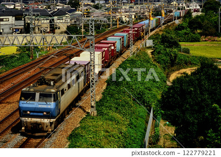 2006: EF200-18 container freight train running on the Tokaido Main Line 122779221
