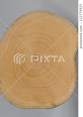 Tree rings of the citrus family Yuzu (Citrus junos) [Background material] 122779325