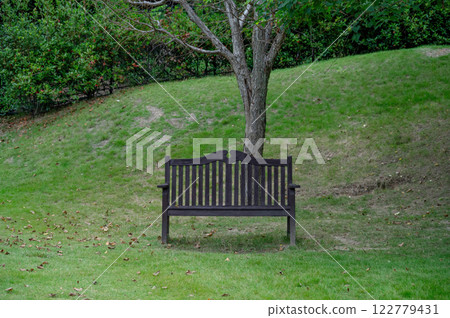 Silent Bench 122779431