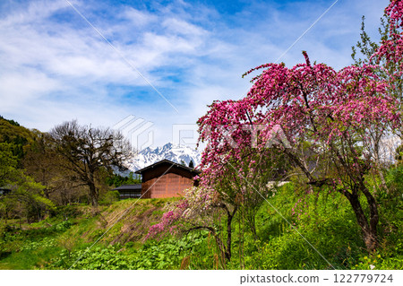 The original scenery of Hakuba Village The original scenery of Hakuba Village 122779724