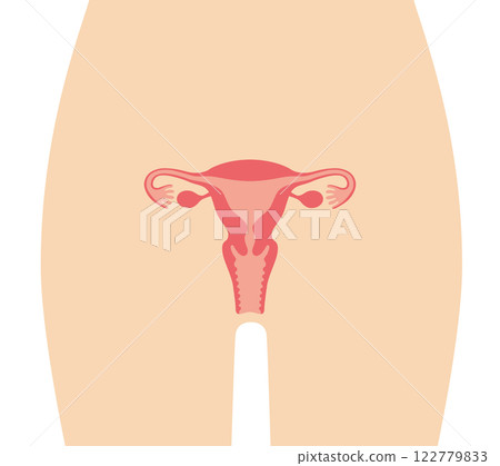 Human uterus Human uterus 122779833