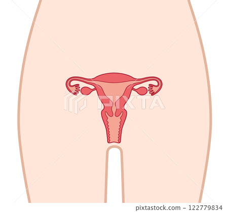 Human uterus Human uterus 122779834