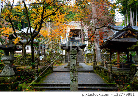 Autumn leaves watching over Hyakudoishi Rocks Autumn leaves watching over Hyakudoishi Rocks 122779991