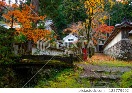 Moss and autumn leaves 122779992