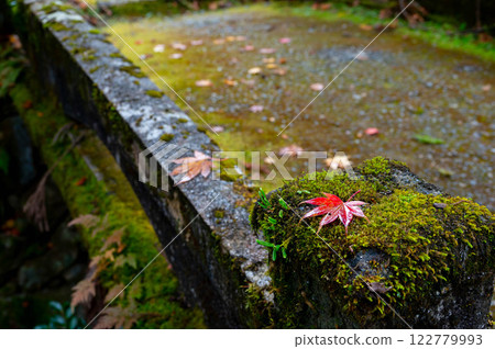 Red leaves fallen on the railing 122779993