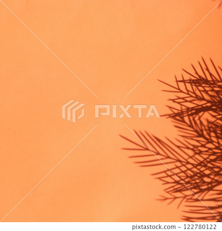 Paper with Pine leaves shadow Paper with Pine leaves shadow 122780122