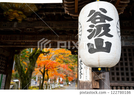 燈籠迎接信徒 燈籠迎接信徒 122780186