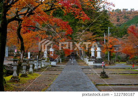 紅楓垂掛在參拜道旁 紅楓垂掛在參拜道旁 122780187