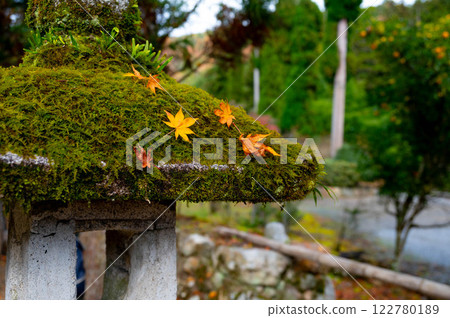 Mossy stone lantern and autumn leaves Mossy stone lantern and autumn leaves 122780189