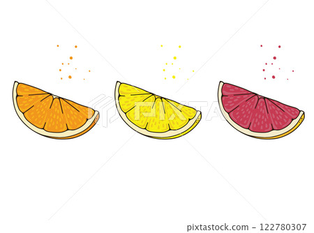 Fresh citrus fruits illustration 122780307