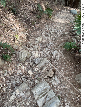 Mount Jinba hiking trail - Tochiya Ridge Course: Gravel road 122780314