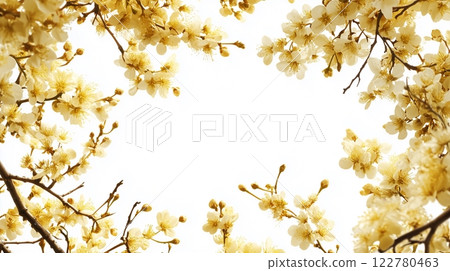 Yellow flower frame, white background 122780463