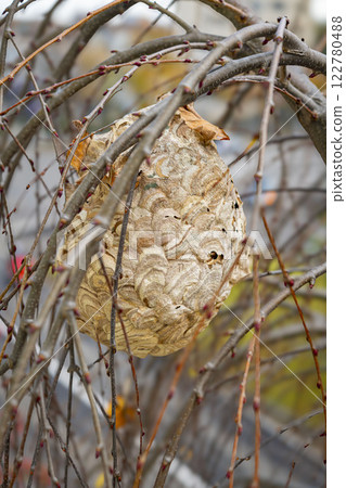  honeycomb 122780488