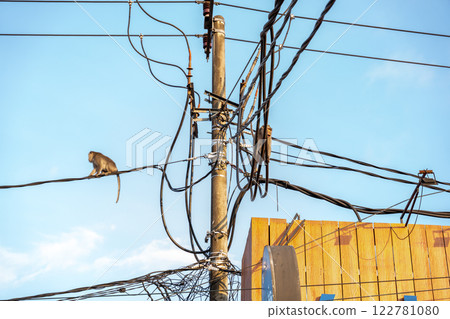 Monkey walking on electric wire 122781080